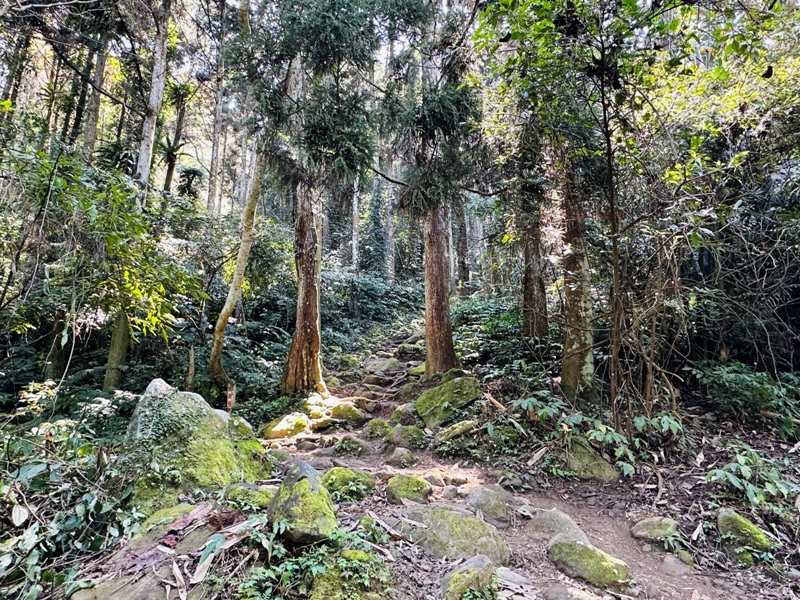 fivefingers05 五峰-五指山 美哉五指連峰