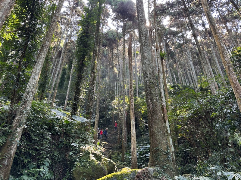 fivefingers07 五峰-五指山 美哉五指連峰