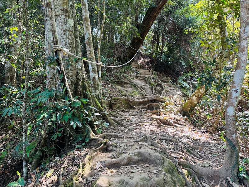 fivefingers12 五峰-五指山 美哉五指連峰