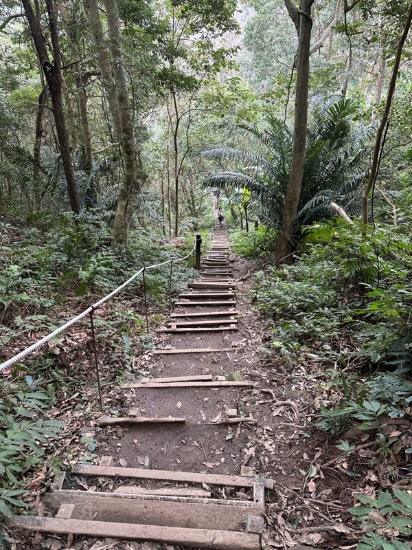 fivefingers18-rotated 五峰-五指山 美哉五指連峰