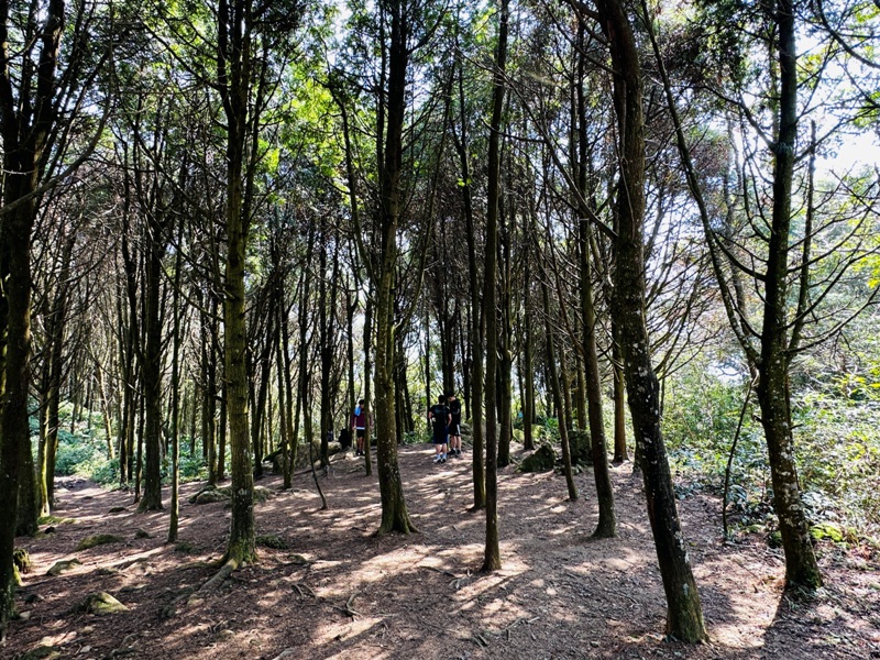 fivefingers22 五峰-五指山 美哉五指連峰