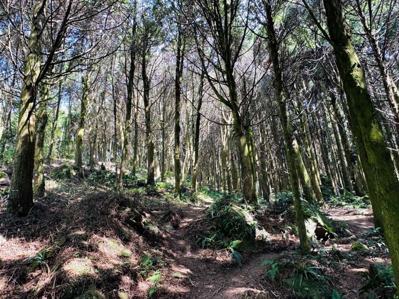 fivefingers23 五峰-五指山 美哉五指連峰