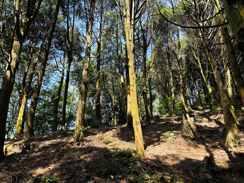 fivefingers24 五峰-五指山 美哉五指連峰