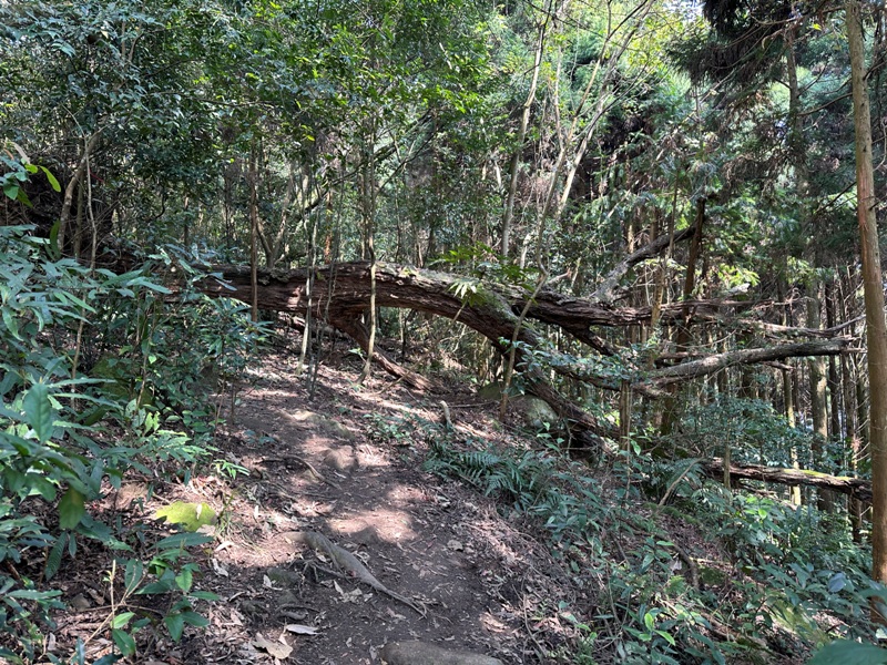 fivefingers31 五峰-五指山 美哉五指連峰