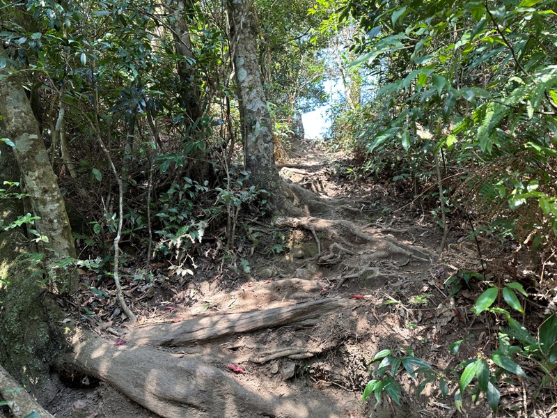 fivefingers33 五峰-五指山 美哉五指連峰