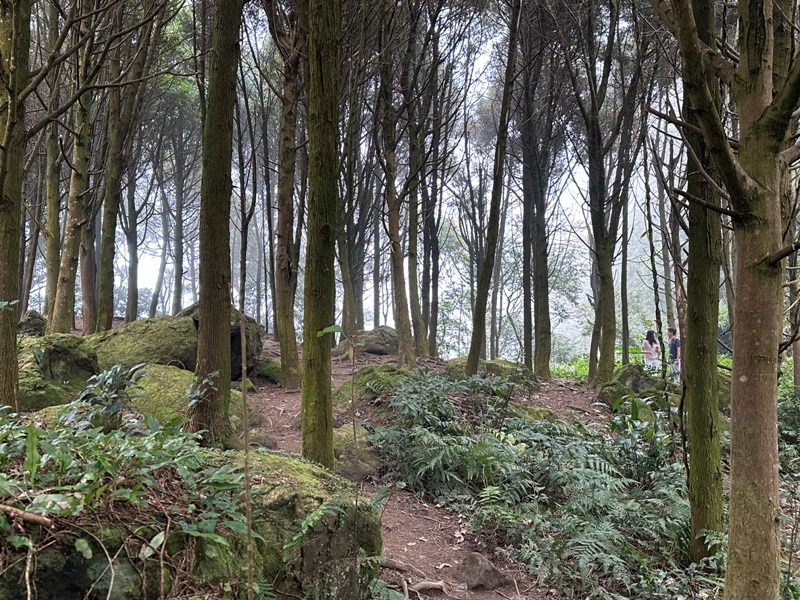 fivefingers36 五峰-五指山 美哉五指連峰