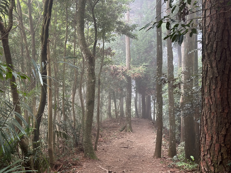 fivefingers37 五峰-五指山 美哉五指連峰