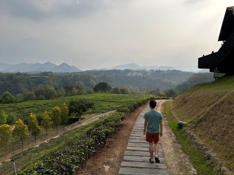 lugaocafe17105 魚池-鹿篙咖啡 茶園配遠山 一杯咖啡度午後
