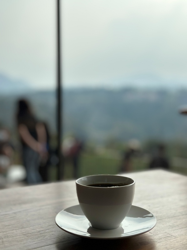 lugaocafe17115 魚池-鹿篙咖啡 茶園配遠山 一杯咖啡度午後