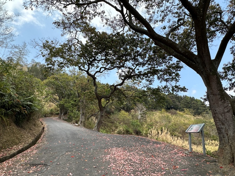 maolanmt03 魚池-貓囒山 輕鬆爬山賞日月潭