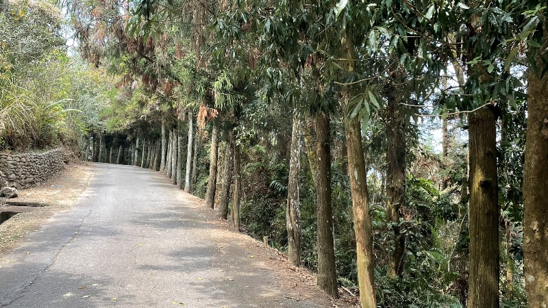 maolanmt08 魚池-貓囒山 輕鬆爬山賞日月潭