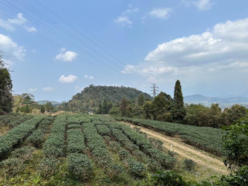 maolanmt09 魚池-貓囒山 輕鬆爬山賞日月潭