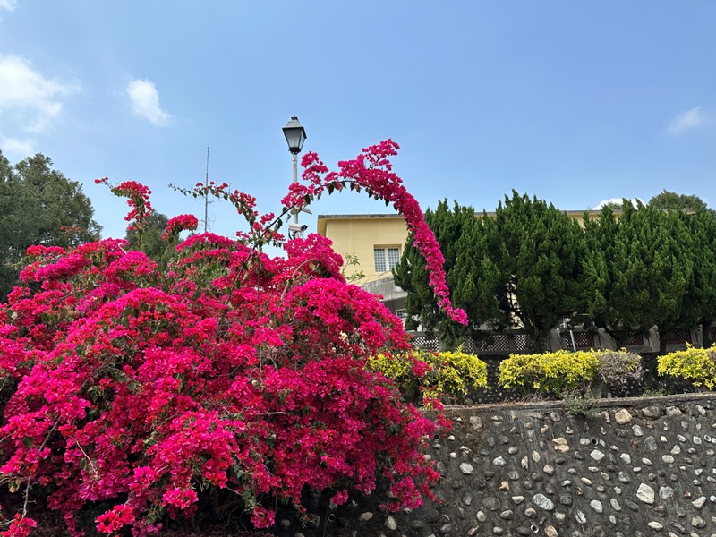 maolanmt13 魚池-貓囒山 輕鬆爬山賞日月潭