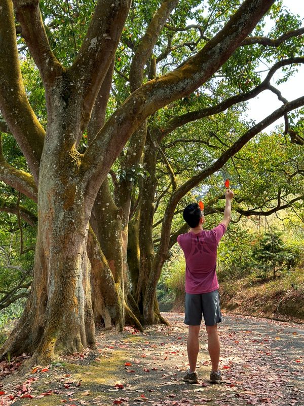 maolanmt21-rotated 魚池-貓囒山 輕鬆爬山賞日月潭