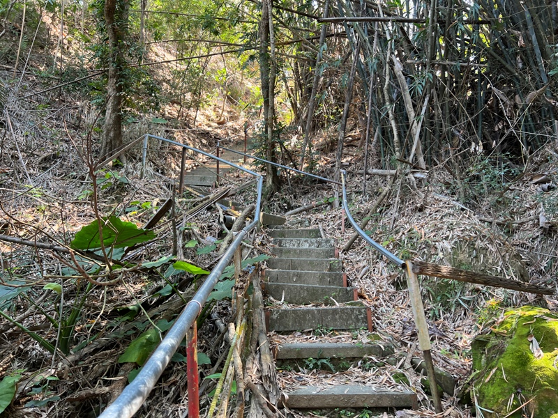 nankuanyin05 北屯-南觀音山 輕鬆登小百岳 城市山林盡收眼底