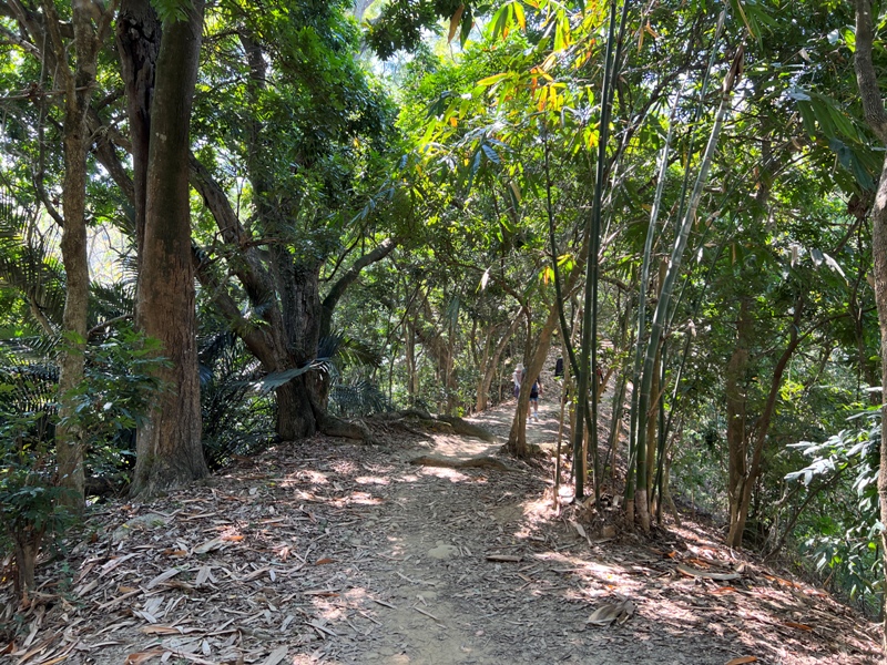 nankuanyin11 北屯-南觀音山 輕鬆登小百岳 城市山林盡收眼底