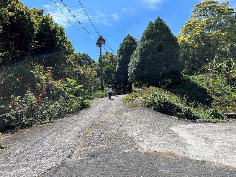 touke04 新社-最速路線30分鐘上頭嵙山 大坑五號景觀真讚