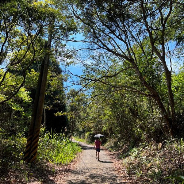 touke05-rotated 新社-最速路線30分鐘上頭嵙山 大坑五號景觀真讚