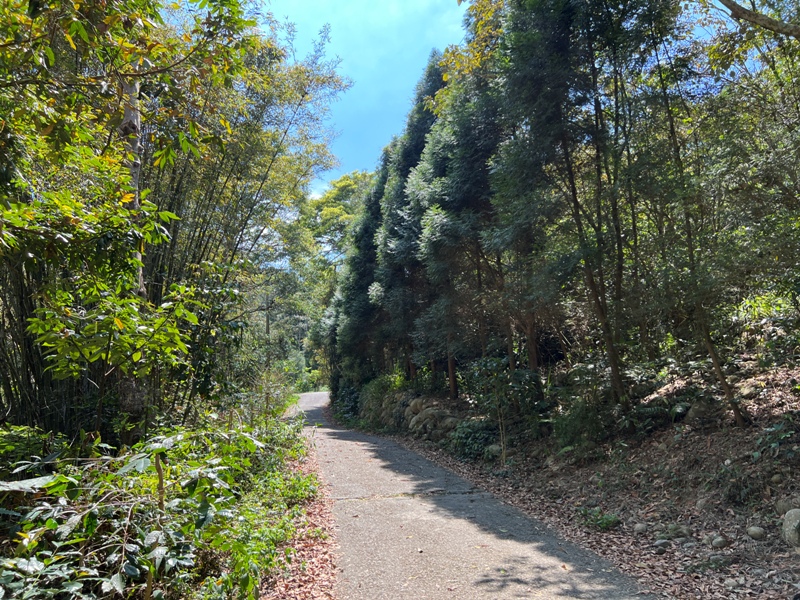 touke06 新社-最速路線30分鐘上頭嵙山 大坑五號景觀真讚