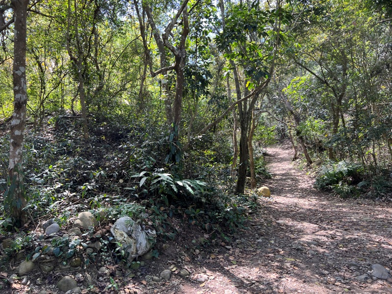 touke07 新社-最速路線30分鐘上頭嵙山 大坑五號景觀真讚