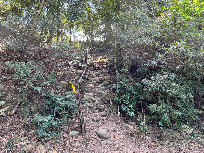 touke10 新社-最速路線30分鐘上頭嵙山 大坑五號景觀真讚