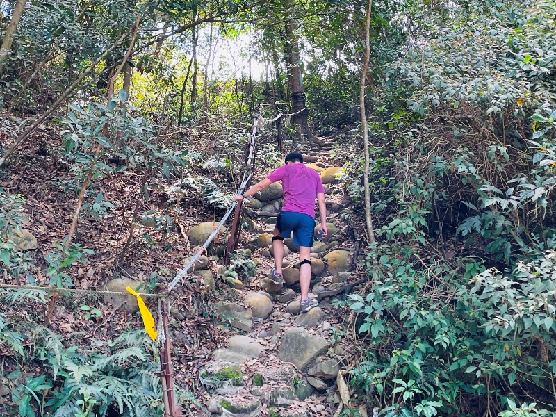 touke11 新社-最速路線30分鐘上頭嵙山 大坑五號景觀真讚