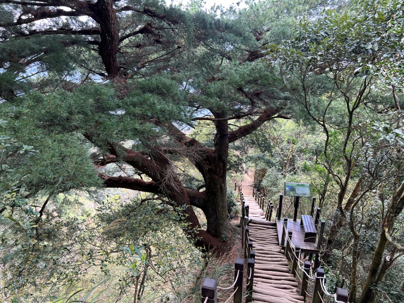 touke13 新社-最速路線30分鐘上頭嵙山 大坑五號景觀真讚