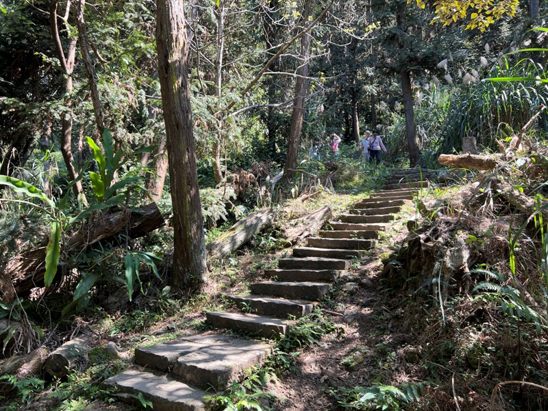 xianmt.10 獅潭-登仙山 飲仙水 手腳並用登頂賞美景