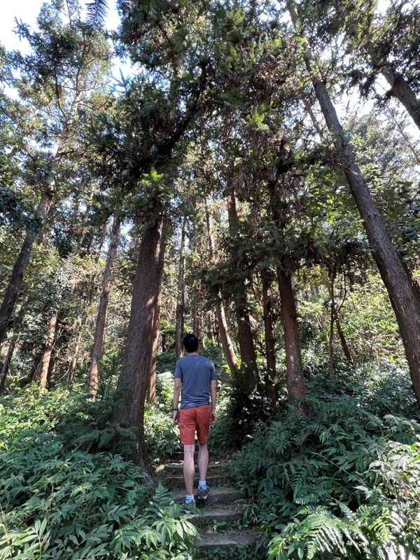 xianmt.11-rotated 獅潭-登仙山 飲仙水 手腳並用登頂賞美景