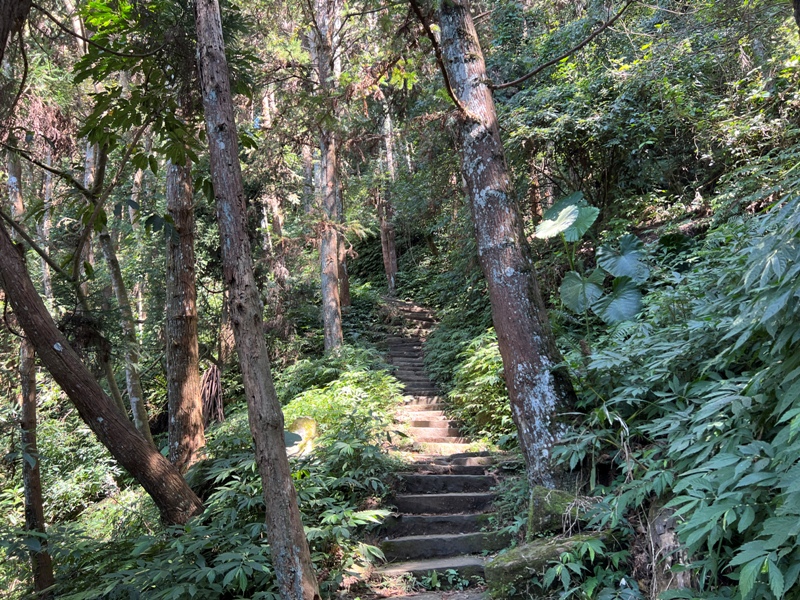 xianmt.12 獅潭-登仙山 飲仙水 手腳並用登頂賞美景