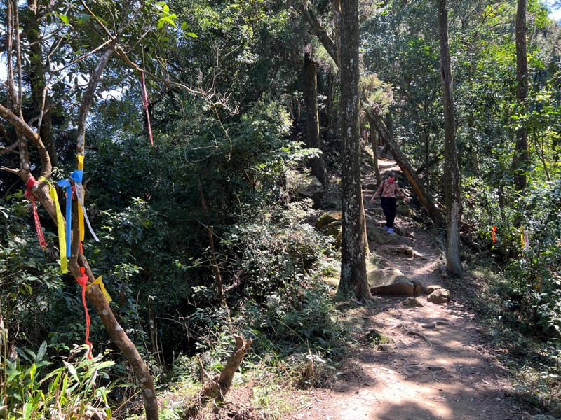 xianmt.13 獅潭-登仙山 飲仙水 手腳並用登頂賞美景