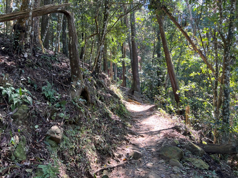 xianmt.14 獅潭-登仙山 飲仙水 手腳並用登頂賞美景
