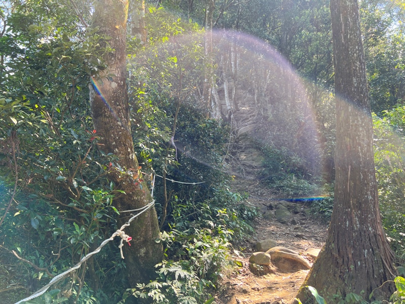 xianmt.15 獅潭-登仙山 飲仙水 手腳並用登頂賞美景