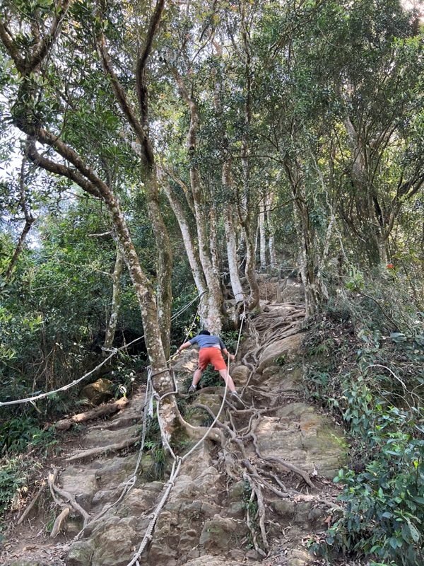 xianmt.16-rotated 獅潭-登仙山 飲仙水 手腳並用登頂賞美景