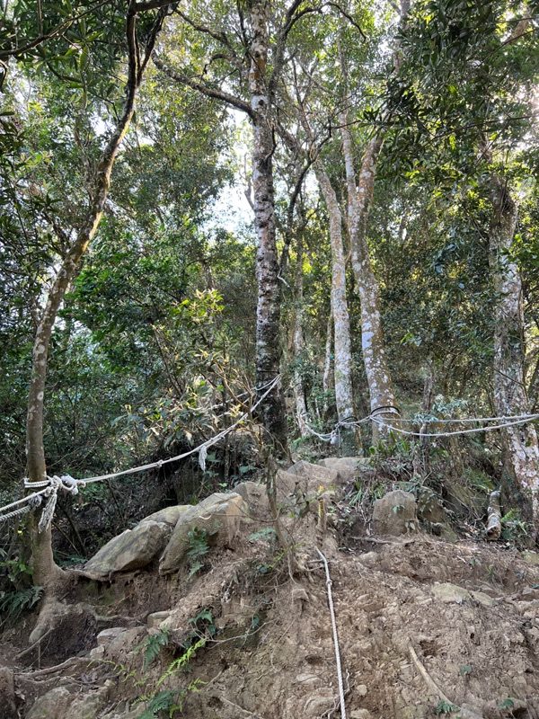 xianmt.18-rotated 獅潭-登仙山 飲仙水 手腳並用登頂賞美景