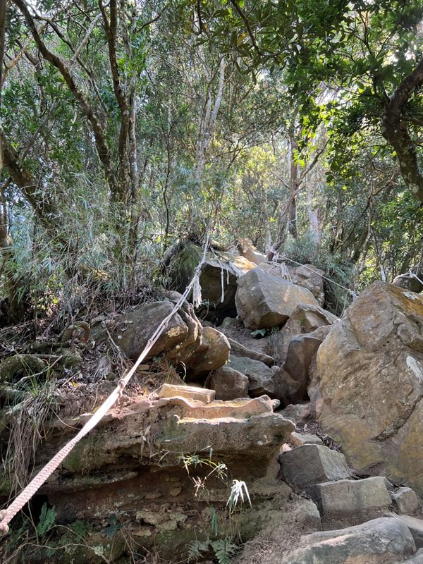 xianmt.20-rotated 獅潭-登仙山 飲仙水 手腳並用登頂賞美景