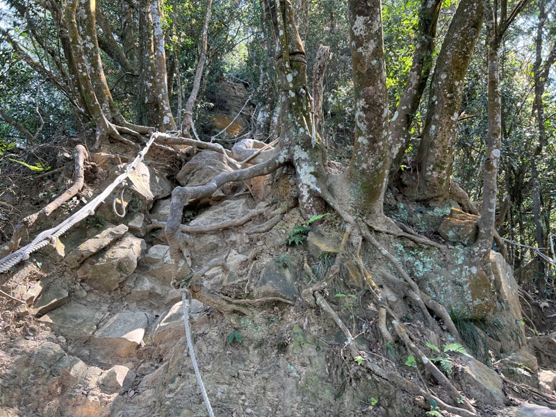 xianmt.22 獅潭-登仙山 飲仙水 手腳並用登頂賞美景