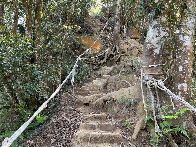 xianmt.23 獅潭-登仙山 飲仙水 手腳並用登頂賞美景