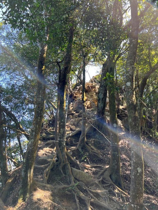 xianmt.24-rotated 獅潭-登仙山 飲仙水 手腳並用登頂賞美景