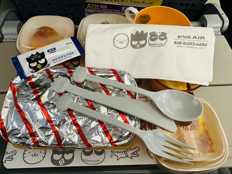 flyflyanaana03-e1681997046683 202304松山羽田 富士山晴空塔與101