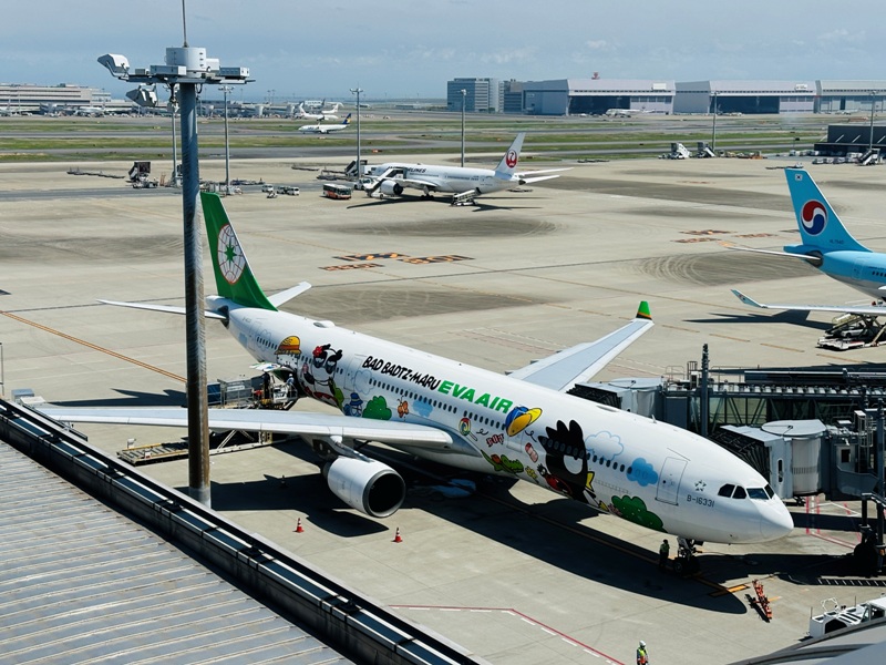 flyflyanaana09 202304松山羽田 富士山晴空塔與101