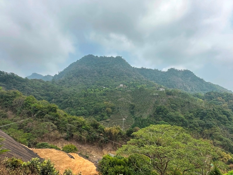 太平-暗影山 好遠…但好輕鬆 15分鐘完登