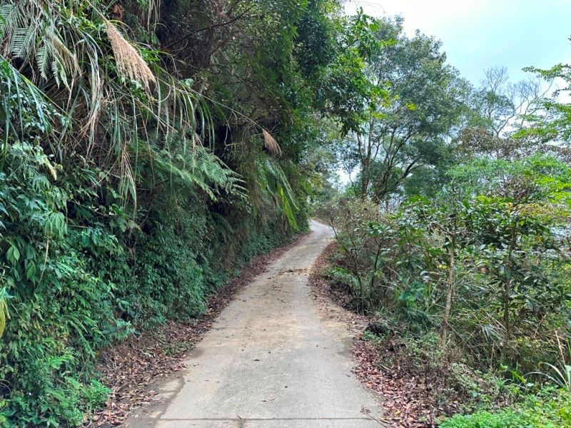 shadowmt0103 太平-暗影山 好遠...但好輕鬆 15分鐘完登