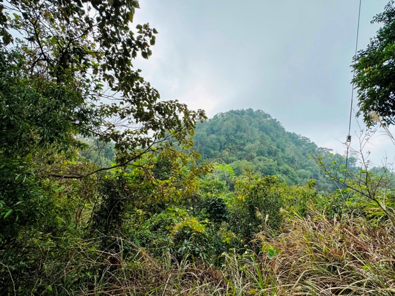 shadowmt0106 太平-暗影山 好遠...但好輕鬆 15分鐘完登