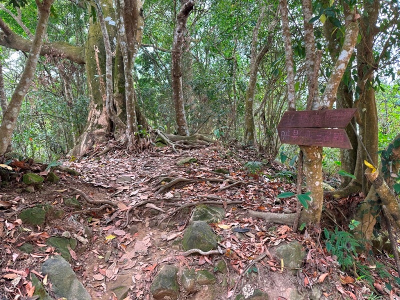 shadowmt0108 太平-暗影山 好遠...但好輕鬆 15分鐘完登