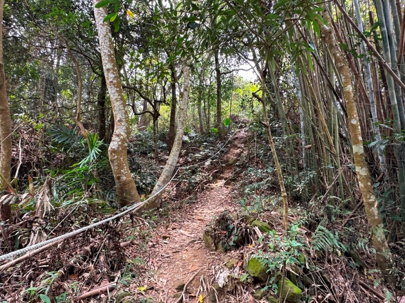 shadowmt0111 太平-暗影山 好遠...但好輕鬆 15分鐘完登
