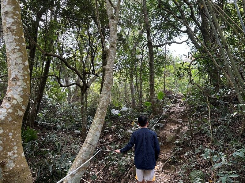 shadowmt0112-rotated-e1680704556884 太平-暗影山 好遠...但好輕鬆 15分鐘完登