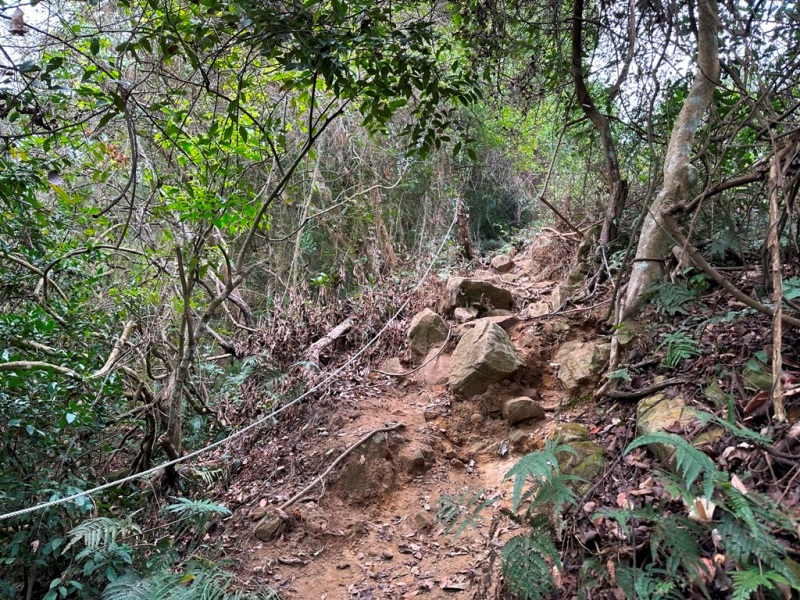 shadowmt0113 太平-暗影山 好遠...但好輕鬆 15分鐘完登