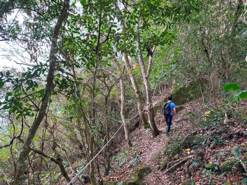 shadowmt0114 太平-暗影山 好遠...但好輕鬆 15分鐘完登