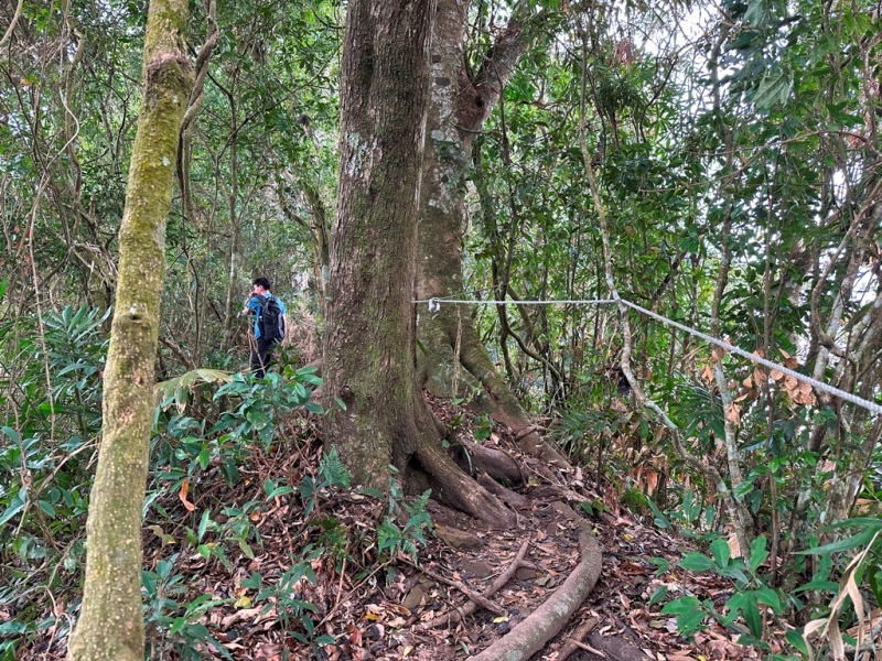 shadowmt0115 太平-暗影山 好遠...但好輕鬆 15分鐘完登